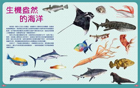 魚類有哪些|《世界上有哪些魚？ 》 魚類、海洋動物與牠們生活的。